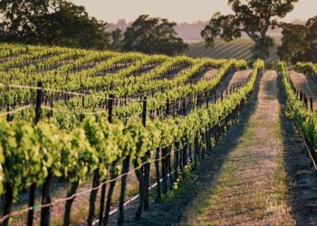 Zona - Villa via La Marmora, 14, Trisobbio - foto 4