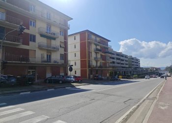 Foto 6 - Quadrilocale viale dei mille
 
61, Sesto Fiorentino - foto 6