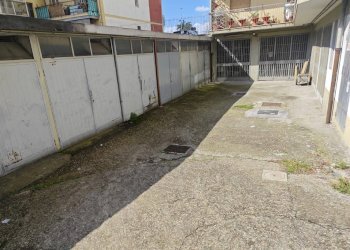 Foto 40 - Quadrilocale viale dei mille
 
61, Sesto Fiorentino - foto 40