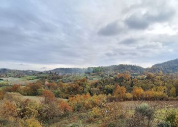 20251031_115432 - Independent house borgata Prissolo, 24, Sciolze - photo 27