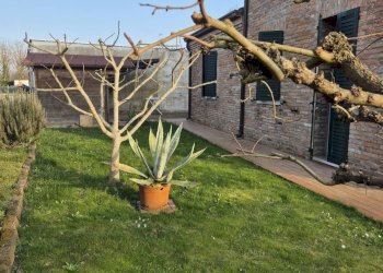 Foto 37 - Villa Via Del Capitello
 
21, Ferrara - foto 37