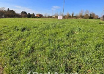 Terreno - Terreno edificabile via A. Manzoni, Arzergrande - foto 5