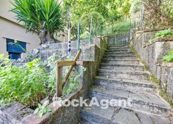 Giardino - Appartamento via di Burlo, Genova (zona Sestri Ponente) - foto 34