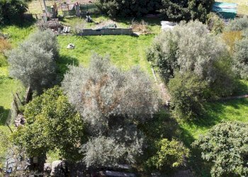 Foto 9 - Building land via Pittalis Pinna
1/c, Sassari - photo 9