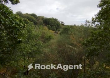 Terreno - Agricultural land strada Milia, Biancavilla - photo 9