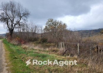 Terreno - Rustic contrada Serepenne, Villamagna - photo 20