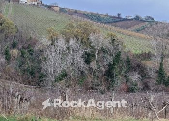 Terreno - Rustic contrada Serepenne, Villamagna - photo 23