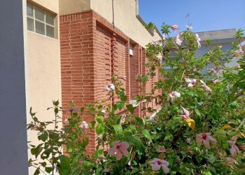 Foto 20 - Trilocale Via Galeso
 
167, Taranto - foto 20