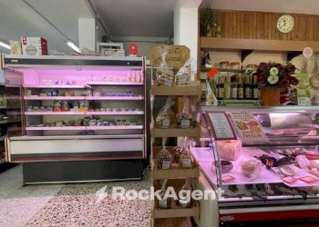 Interno non residenziale - Alimentari - Gastronomia via Trieste, 37, Alba Adriatica - foto 12