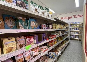 Interno non residenziale - Alimentari - Gastronomia via Trieste, 37, Alba Adriatica - foto 14