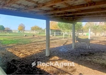 Terreno - Terreno agricolo via Campanella, Suardi - foto 2