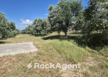 Terreno - Rustico viale Pandolfelli, Andria - foto 11