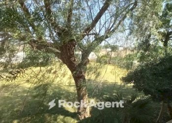 Terreno - Villa via 168, Porto Cesareo - foto 19