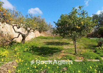 Terreno - Villa via 168, Porto Cesareo - foto 26