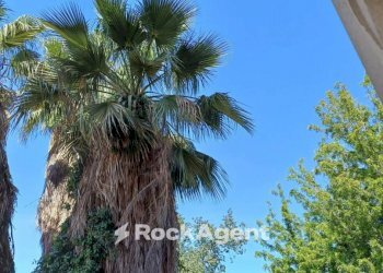 Zona - Three-room apartment via Vittorio Emanuele da Bormida, 45, Catania - photo 39