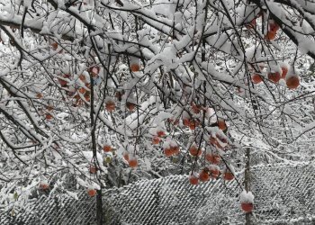 Non correlato - Casa indipendente Cerrina Monferrato - foto 34