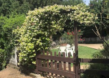 Giardino - Casa indipendente Cerrina Monferrato - foto 36