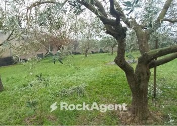 Terreno - Rustic Arcevia - photo 29