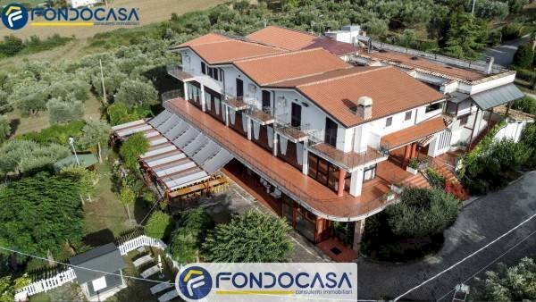 Foto 3 - Attività Commerciale CONTRADA DELLA FONTE, Controguerra - foto 3