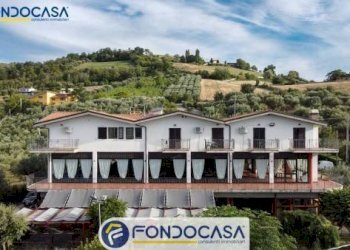 Foto 4 - Attività Commerciale CONTRADA DELLA FONTE, Controguerra - foto 4