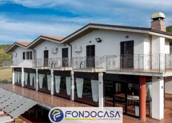 Foto 7 - Attività Commerciale CONTRADA DELLA FONTE, Controguerra - foto 7