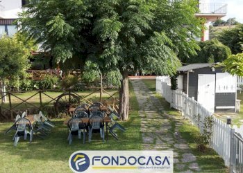 Foto 8 - Attività Commerciale CONTRADA DELLA FONTE, Controguerra - foto 8