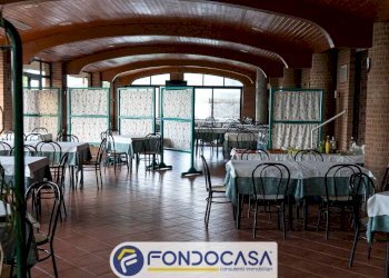 Foto 10 - Attività Commerciale CONTRADA DELLA FONTE, Controguerra - foto 10