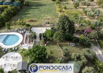 Foto 14 - Attività Commerciale CONTRADA DELLA FONTE, Controguerra - foto 14