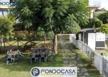 Foto 15 - Attività Commerciale CONTRADA DELLA FONTE, Controguerra - foto 15