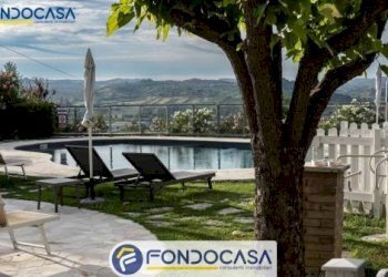 Foto 17 - Attività Commerciale CONTRADA DELLA FONTE, Controguerra - foto 17