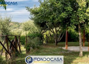 Foto 19 - Attività Commerciale CONTRADA DELLA FONTE, Controguerra - foto 19