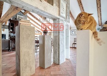 Foto 28 - Villa Paese - foto 28