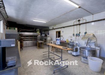 Magazzino - Negozio via per Camaiore, Lucca - foto 7
