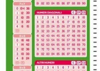 Altro - Bar - Tabacchi - Ricevitoria Pescara - foto 12