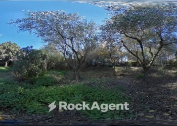 Terreno - Terreno edificabile via Genio Civile, Aprilia - foto 22