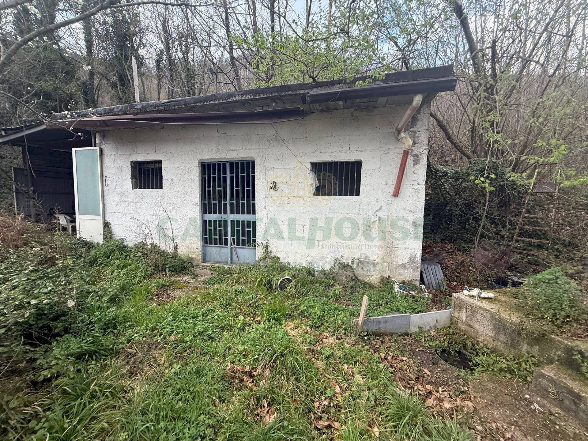 Foto 1 - Terreno agricolo Via Largo di Carifi, Mercato San Severino - foto 1