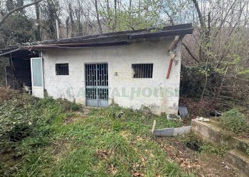 Foto 1 - Terreno agricolo Via Largo di Carifi, Mercato San Severino - foto 1