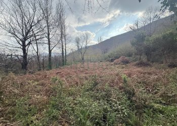 Foto 4 - Terreno agricolo Via Largo di Carifi, Mercato San Severino - foto 4