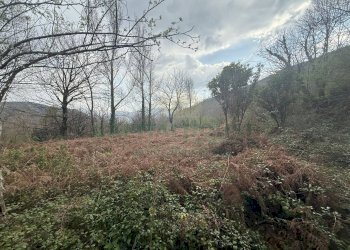 Foto 5 - Terreno agricolo Via Largo di Carifi, Mercato San Severino - foto 5