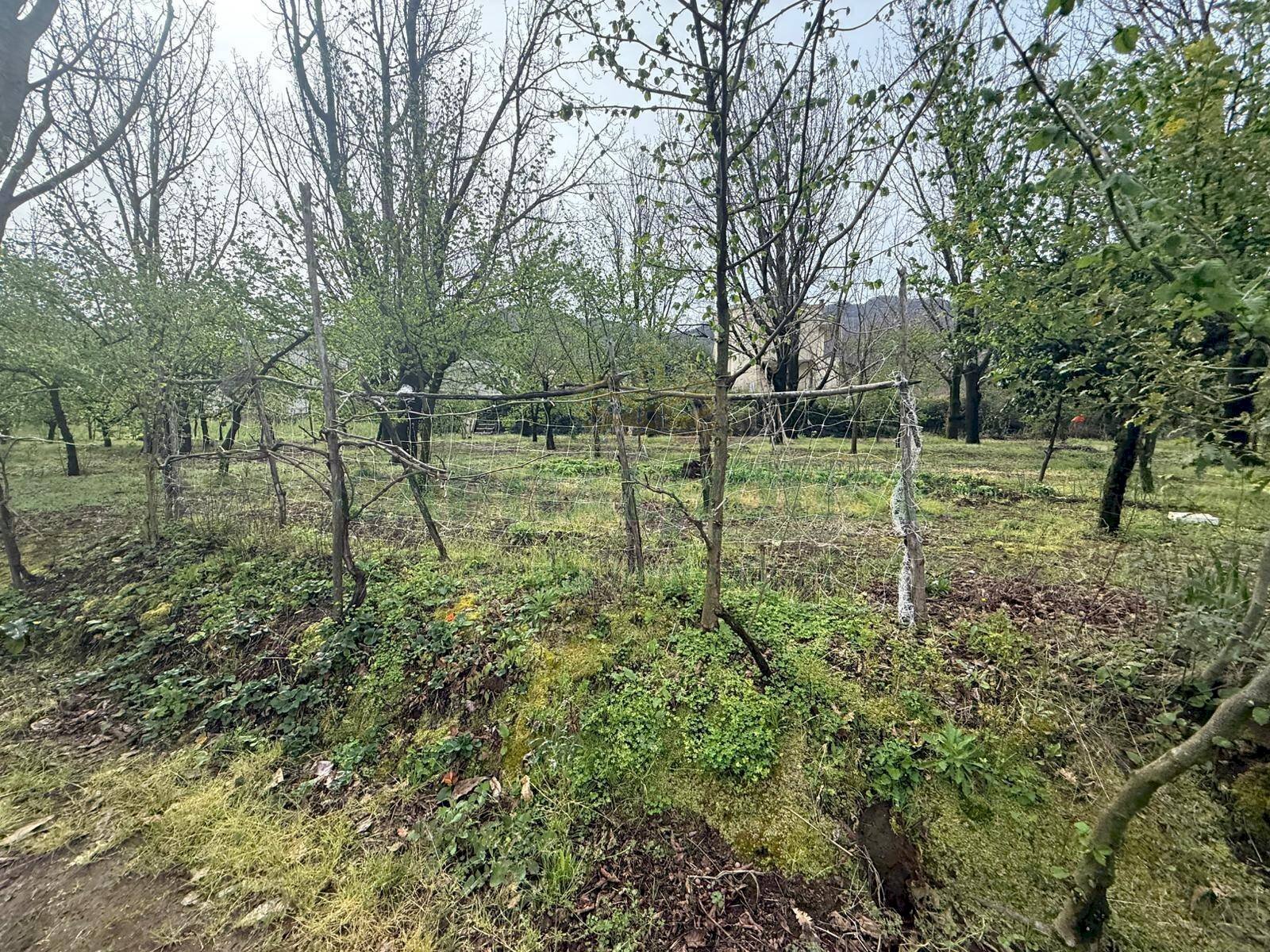 Foto 2 - Terreno edificabile Mercato San Severino - foto 2