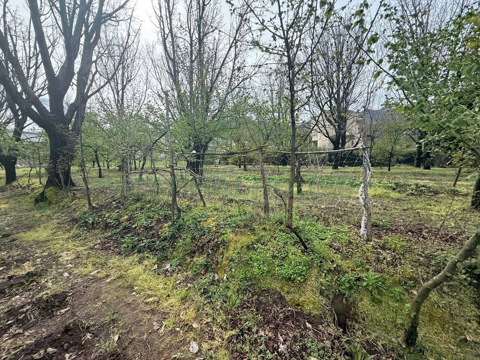 Foto 3 - Terreno edificabile Mercato San Severino - foto 3