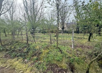 Foto 2 - Terreno edificabile Mercato San Severino - foto 2