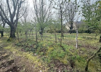 Foto 3 - Terreno edificabile Mercato San Severino - foto 3