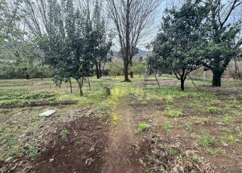 Foto 4 - Terreno edificabile Mercato San Severino - foto 4