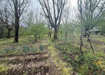 Foto 5 - Terreno edificabile Mercato San Severino - foto 5