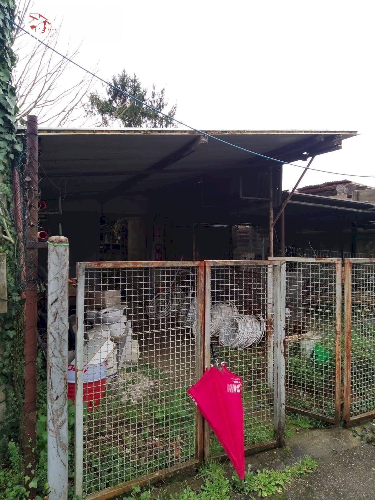 Foto 3 - Magazzino via Chiantigiana
 
12, Firenze - foto 3