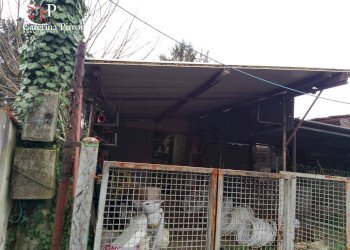 Foto 4 - Magazzino via Chiantigiana
 
12, Firenze - foto 4