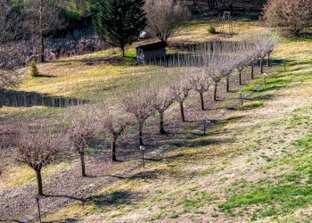 Foto 6 - Commercial Premises Strada del Crist
 
2, Mondovì - photo 6