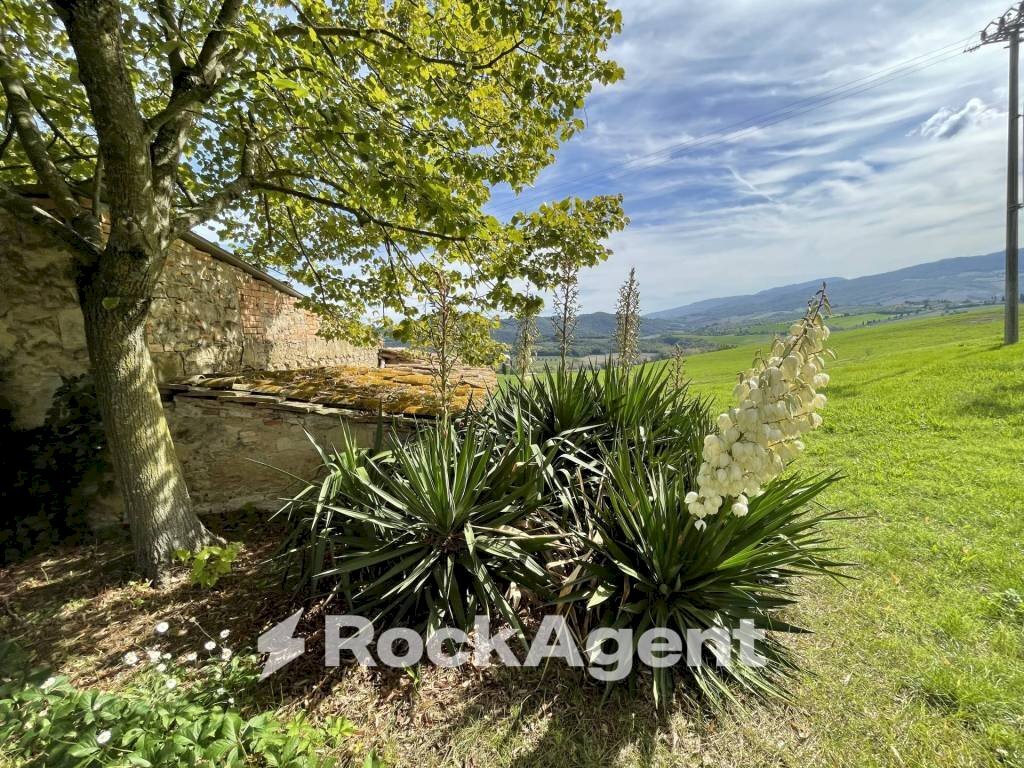 Terreno - Rustic podere santo ottaviano 74, Pomarance - photo 3
