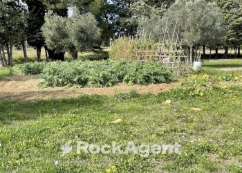 Terreno - Rustico podere santo ottaviano 74, Pomarance - foto 15